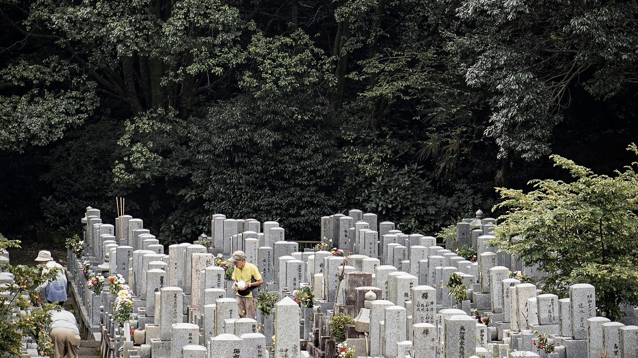 People gather at gravestones, set against lush greenery, cleaning them of debris and leaving flowers and gifts