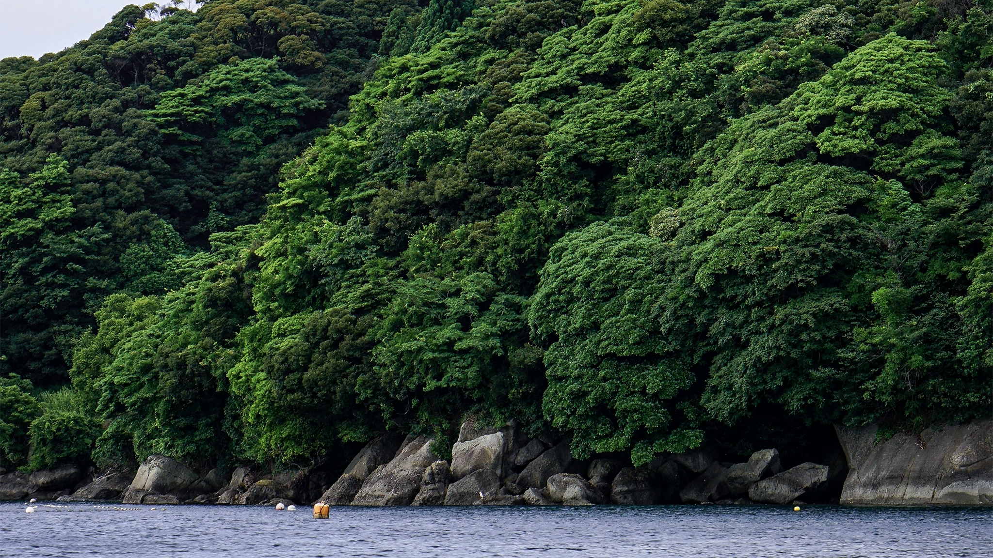 Lush greenery meets the blue waters of Lake Biwa